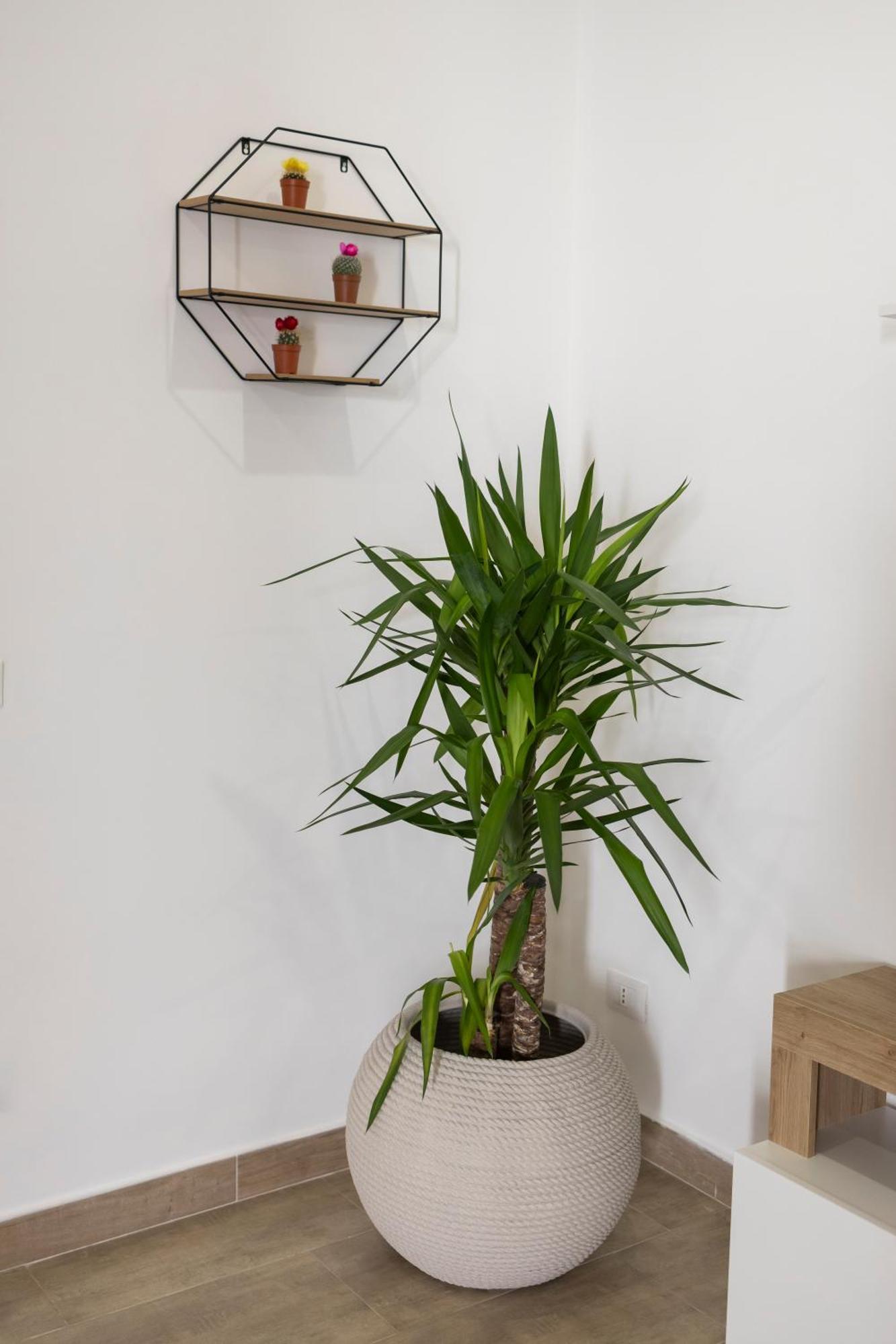 Maison Zisa - Proppro - Palerme Extérieur photo